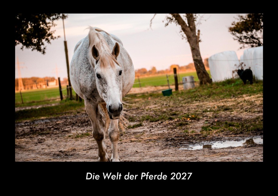 Die Welt der Pferde 2027 Fotokalender DIN A3 - Tobias Becker