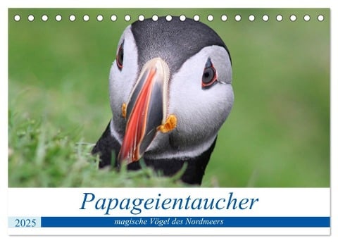 Papageientaucher 2025 - Magische Vögel des Nordmeers (Tischkalender 2025 DIN A5 quer), CALVENDO Monatskalender - Been. There. Recently Been. There. Recently