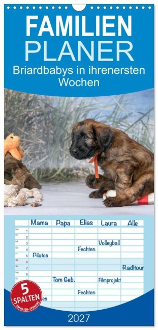 Familienplaner 2027 - Briardbabys in ihren ersten Wochen mit 5 Spalten (Wandkalender, 21 x 45 cm) CALVENDO - Sonja Teßen