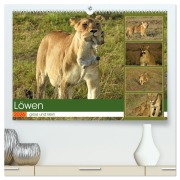 Cover-Bild zum Titel 'Löwen - gross und klein (hochwertiger Premium Wandkalender 2026 DIN A2 quer), Kunstdruck in Hochglanz' von 'Susan Michel'