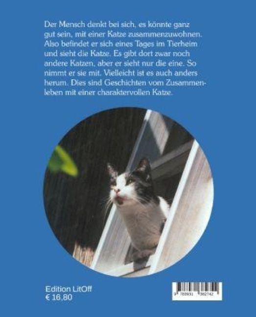InsideView 1