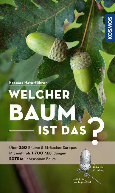 Welcher Baum ist das? - Margot Spohn, Roland Spohn