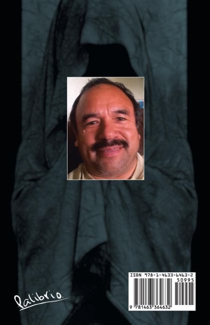 InsideView 1