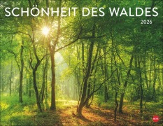 Schönheit des Waldes Posterkalender 2026 - 