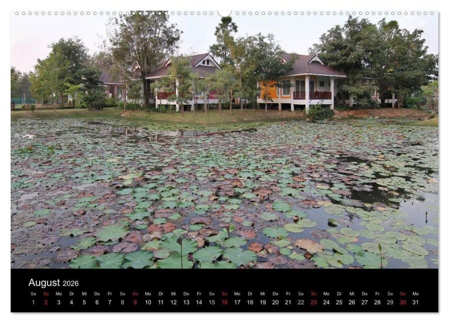 InsideView 12