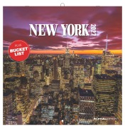 Cover-Bild zum Titel 'New York 2027' von ''