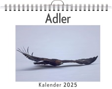 Cover-Bild zum Titel 'Adler' von 'Liam Neumann'