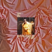 Cover-Bild zum Titel 'Michelangelo Dying' von 'Cate Le Bon'