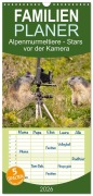 Familienplaner 2026 - Alpenmurmeltiere - Stars vor der Kamera mit 5 Spalten (Wandkalender, 21 x 45 cm) CALVENDO - Johann Schoerkhuber