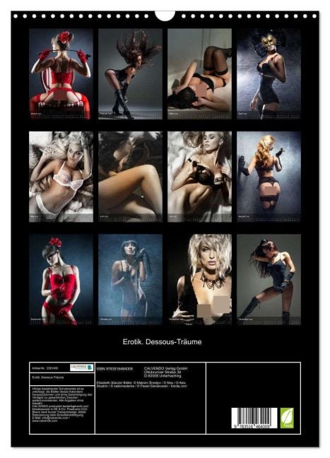 InsideView 5