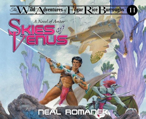 Skies of Venus - Neal Romanek