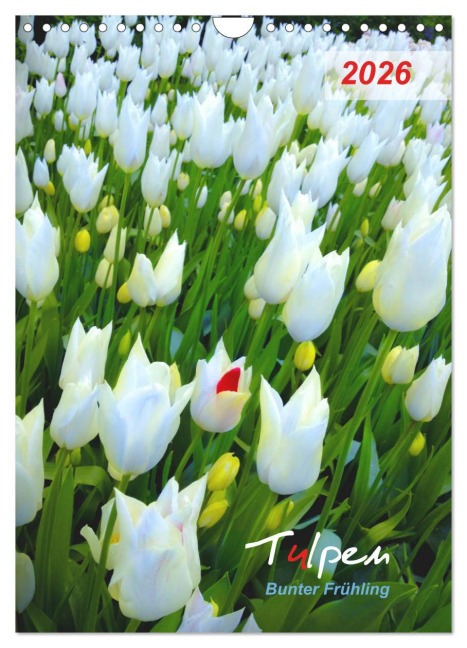 Tulpen. Bunter Frühling (Wandkalender 2026 DIN A4 hoch), CALVENDO Monatskalender - Eugeniya Kareva