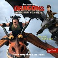 Cover-Bild zum Titel 'Folge 8: Dagur der Durchgeknallte / Freunde in der Not (Das Original-Hörspiel zur TV-Serie)' von 'Thomas Karallus'