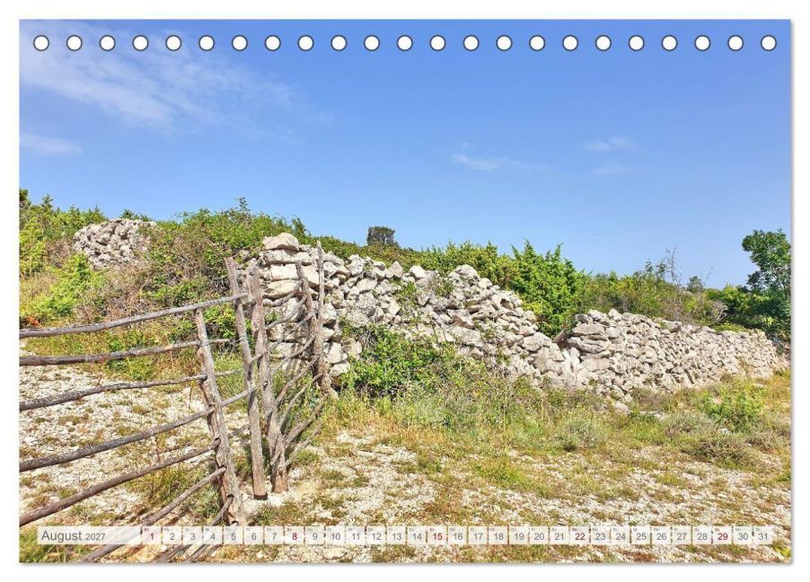 InsideView 13