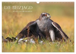 Cover-Bild zum Titel 'Die Beizjagd (Wandkalender 2026 DIN A3 quer), CALVENDO Monatskalender' von 'Wolfgang Brandmeier'