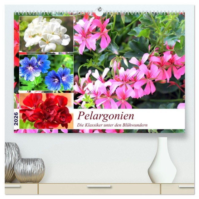 Pelargonien. Die Klassiker unter den Blühwundern (hochwertiger Premium Wandkalender 2026 DIN A2 quer), Kunstdruck in Hochglanz - Rose Hurley