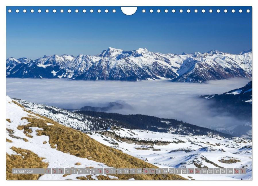 InsideView 6
