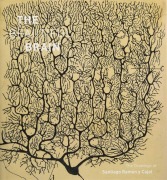 Cover-Bild zum Titel 'The Beautiful Brain' von ''