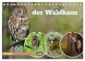 der Waldkauz - Strix Aluco (Tischkalender 2024 DIN A5 quer), CALVENDO Monatskalender - Andreas Freund