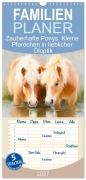 Cover-Bild zum Titel 'Familienplaner 2027 - Zauberhafte Ponys. Kleine Pferdchen in lieblicher Öloptik mit 5 Spalten (Wandkalender, 21 x 45 cm) CALVENDO' von 'Rose Hurley'
