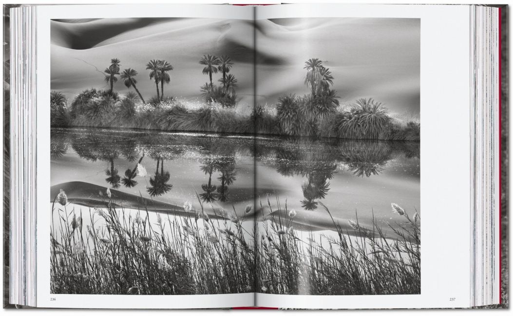 InsideView 10