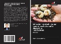 Cover-Bild zum Titel 'Istruzioni metodiche per lezioni pratiche sulla disciplina "ZOOLOGIA' von 'Aidos Mussabekov'