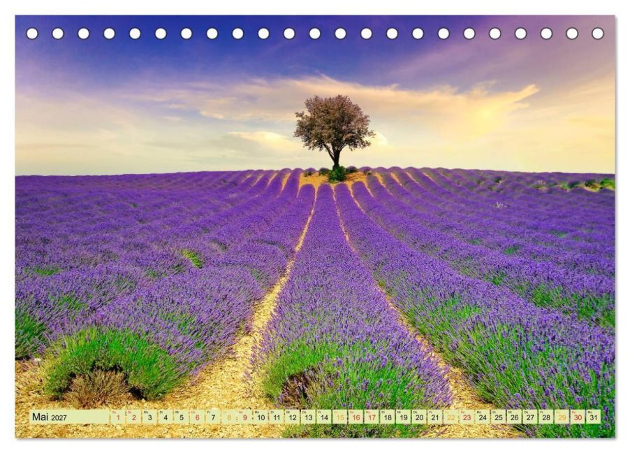 InsideView 10