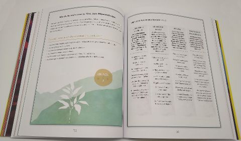 InsideView 8