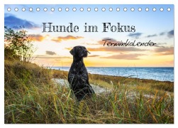 Cover-Bild zum Titel 'Hunde im Fokus (Tischkalender 2026 DIN A5 quer), CALVENDO Monatskalender' von 'Bc Tierfotografie Bianca Clemens'