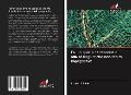 Cover-Bild zum Titel 'Fai un quiz! Una raccolta di attività linguistiche non molto impegnative' von 'Krzysztof Polok'