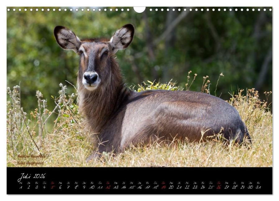 InsideView 12
