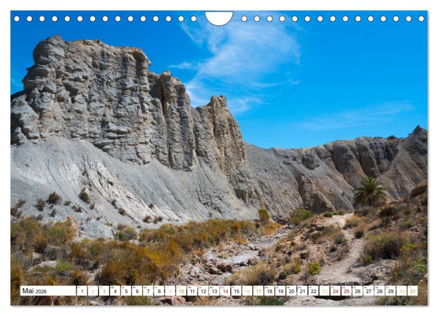 InsideView 10