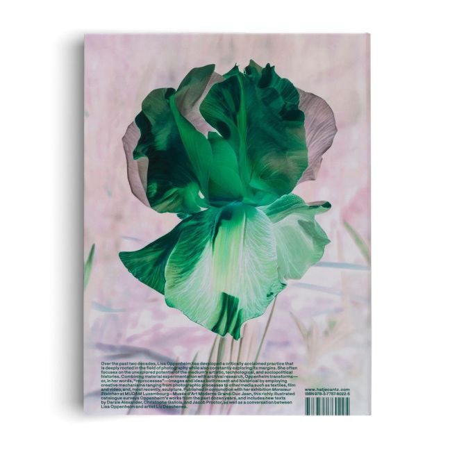 InsideView 18