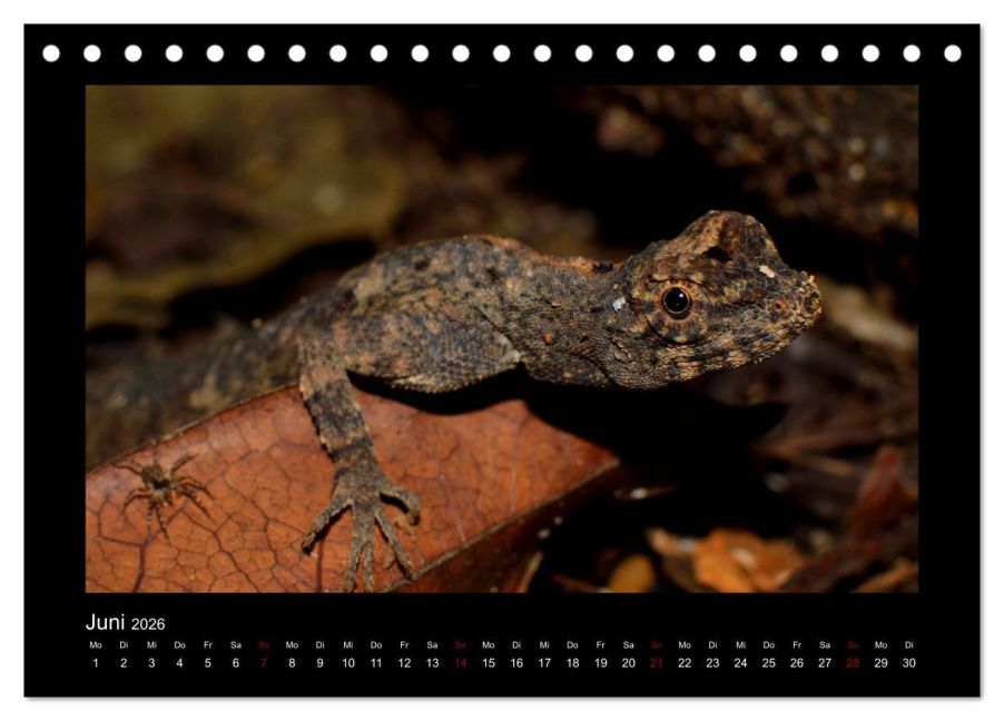 InsideView 11