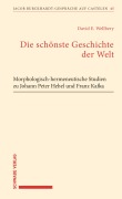 Cover-Bild zum Titel 'Die schönste Geschichte der Welt' von 'David E. Wellbery'