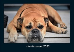 Cover-Bild zum Titel 'Hundezauber 2025 Fotokalender DIN A4' von 'Tobias Becker'