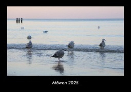 Cover-Bild zum Titel 'Möwen 2025 Fotokalender DIN A3' von 'Tobias Becker'