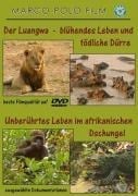 Der Luangwa-blühendes Leben & tödliche Dürre - 