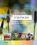 Cover-Bild zum Titel 'Heilsame Wildpflanzen' von 'Frank Hecker, Katrin Hecker'