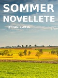 Cover-Bild zum Titel 'Sommernovellete' von 'Stefan Zweig'