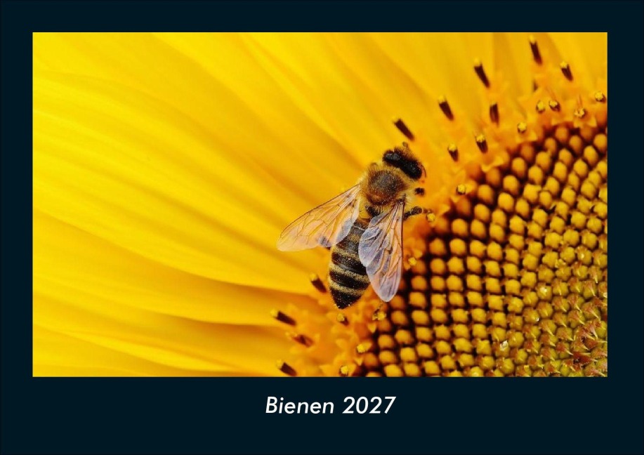 Bienen 2027 Fotokalender DIN A4 - Tobias Schmitt, Kevin Heber