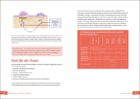 InsideView 5