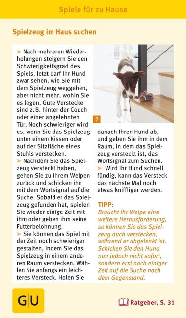 InsideView 11