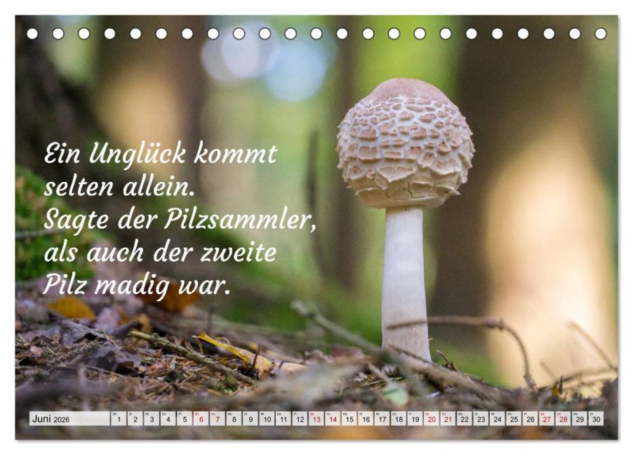 InsideView 11