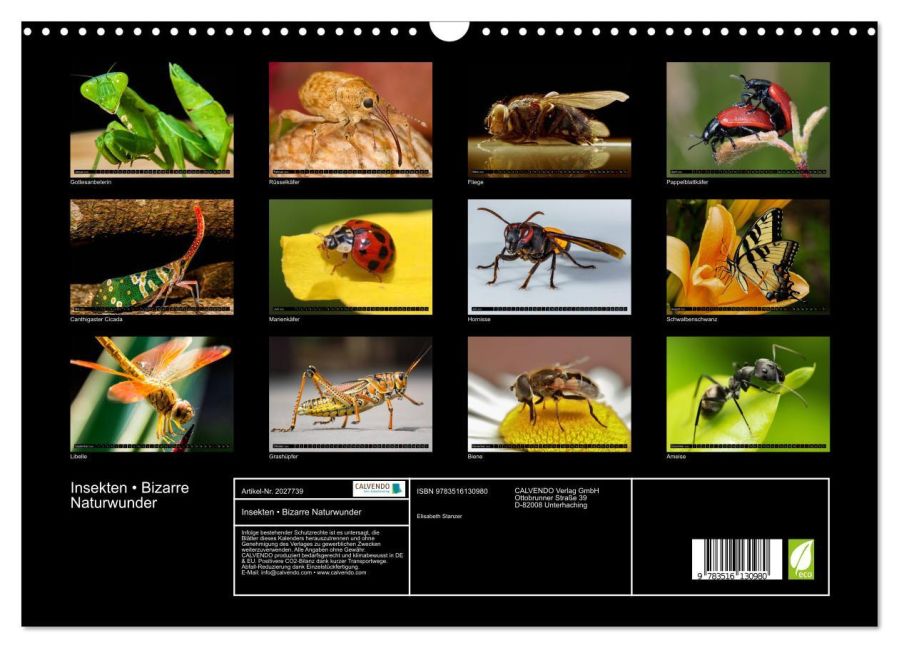 InsideView 5