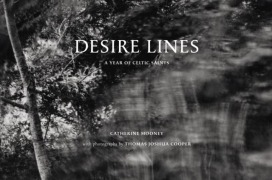 Cover-Bild zum Titel 'Desire Lines' von 'Anne Lyden, Catherine Mooney, Thomas Joshua Cooper'