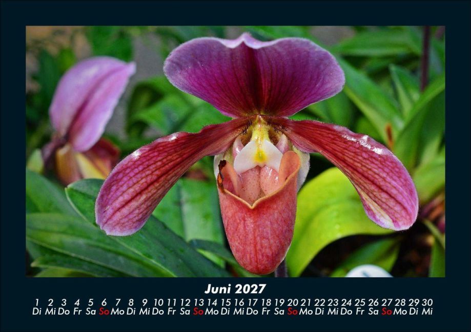 InsideView 10