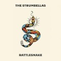 Cover-Bild zum Titel 'Rattlesnake' von 'The Strumbellas'