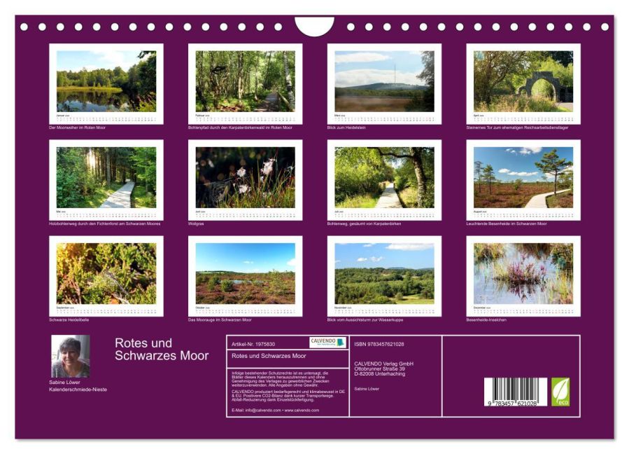 InsideView 5
