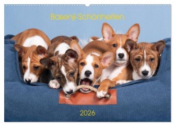 Cover-Bild zum Titel 'Basenji-Schönheiten (Wandkalender 2026 DIN A2 quer), CALVENDO Monatskalender' von 'Angelika Joswig'
